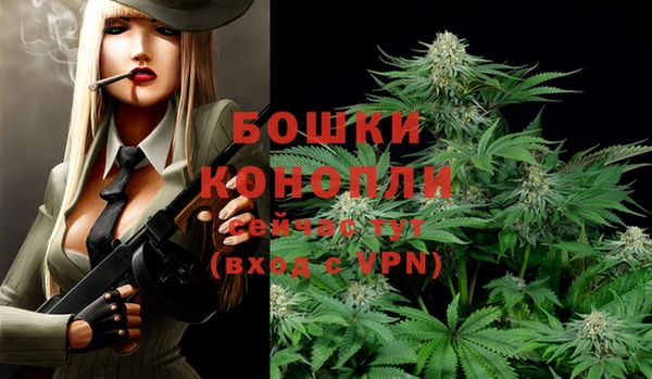 не бодяженный Нязепетровск