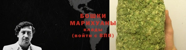 крисы Ветлуга