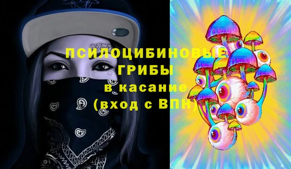 стафф Няндома