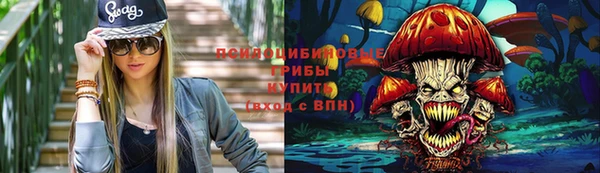 стафф Няндома