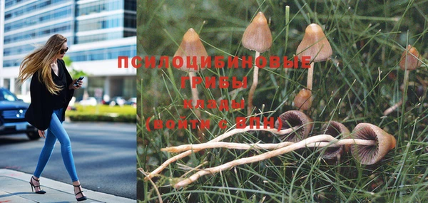 герыч Видное