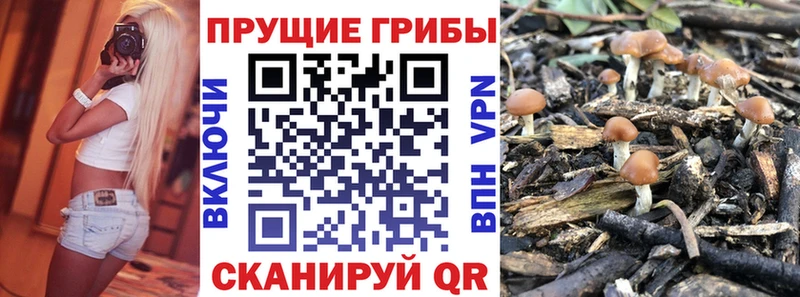 Псилоцибиновые грибы GOLDEN TEACHER  даркнет сайт  Козловка 